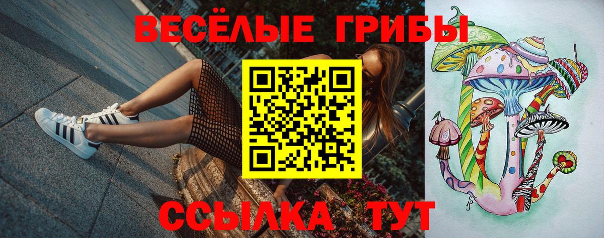 Псилоцибиновые грибы мицелий Аксай