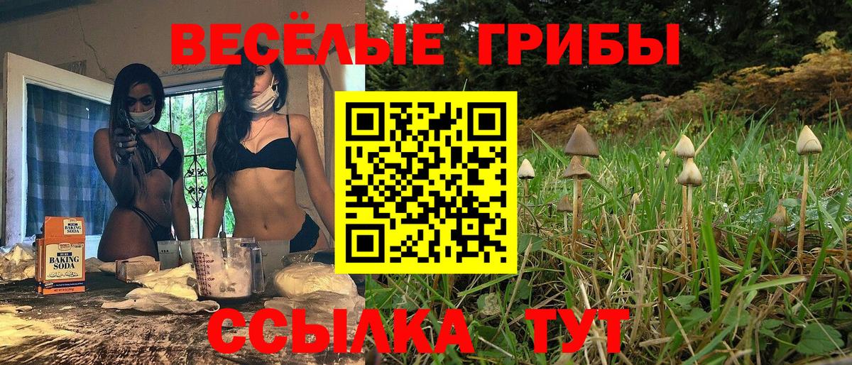 Псилоцибиновые грибы мицелий  Вход с VPN  Аксай  Псилоцибиновые грибы GOLDEN TEACHER 